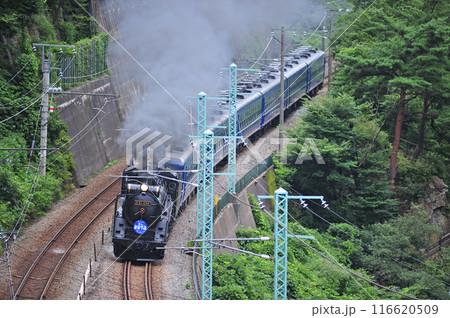 上越線 上牧ー水上 JR東日本 D51-498+12系(高崎) SLみなかみ 上越線 上牧ー水上 JR東日本 D51-498+12系(高崎) SLみなかみ 116620509