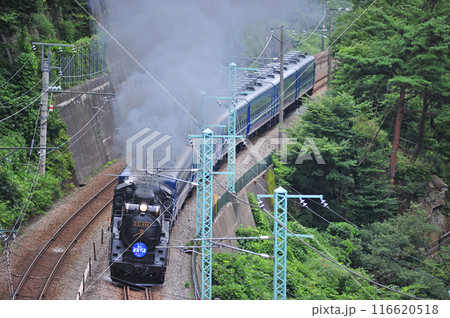 上越線 上牧ー水上 JR東日本 D51-498+12系(高崎) SLみなかみ 上越線 上牧ー水上 JR東日本 D51-498+12系(高崎) SLみなかみ 116620518