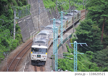 上越線 上牧ー水上 JR東日本 185系 OM08編成(大宮) 水上 上越線 上牧ー水上 JR東日本 185系 OM08編成(大宮) 水上 116620521