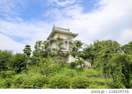 埼玉県加須市の郷土史料展示室（騎西城） 116620538