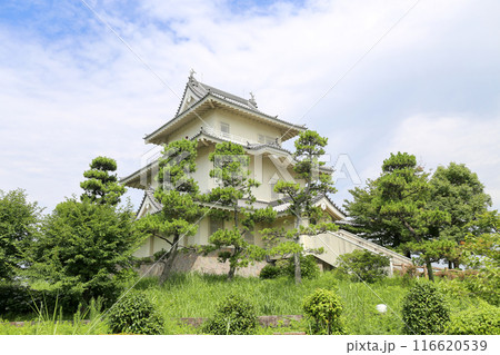 埼玉県加須市の郷土史料展示室（騎西城） 116620539