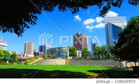 埼玉県川口市のリリアパーク(川口西公園)の風景 埼玉県川口市のリリアパーク(川口西公園)の風景 116620972