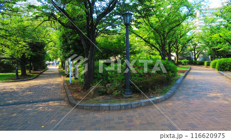 埼玉県川口市のリリアパーク（川口西公園）の風景 116620975