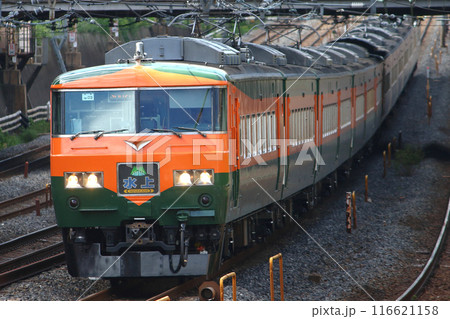 東北線を行く特急水上号+特急草津号:185系湘南色編成 東北線を行く特急水上号+特急草津号:185系湘南色編成 116621158