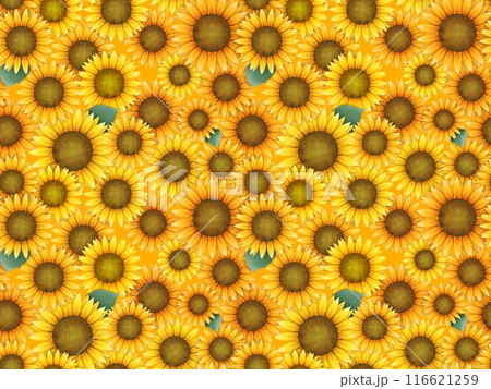 ヒマワリのシームレスパターン（オレンジ）　C' 116621259