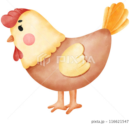 cute chicken in happy farm 116621547