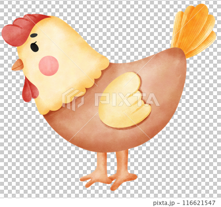 cute chicken in happy farm 116621547