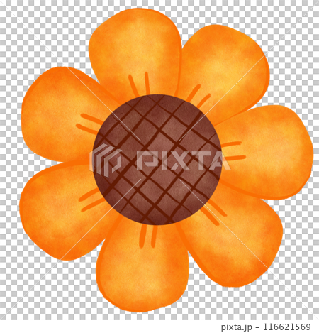 Cute sunflowers Cute sunflowers 116621569