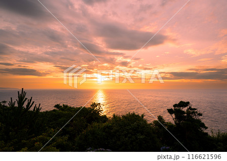 東伊豆の早朝、海から登る日の出 東伊豆の早朝、海から登る日の出 116621596
