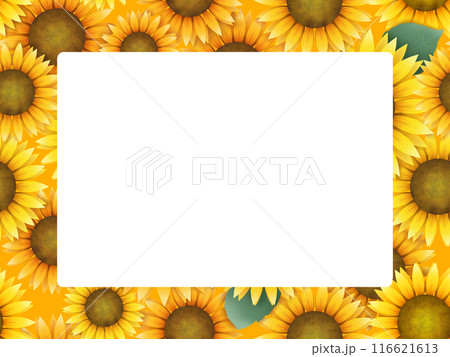 ヒマワリのフレーム 116621613