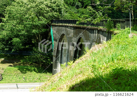 熊本県阿蘇郡小国町　旧国鉄宮原線遊歩道の風景　幸野川橋梁 116621624