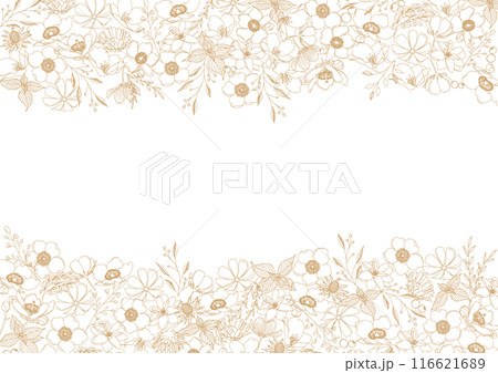 美しい花の線画、ボタニカルフレーム素材 116621689