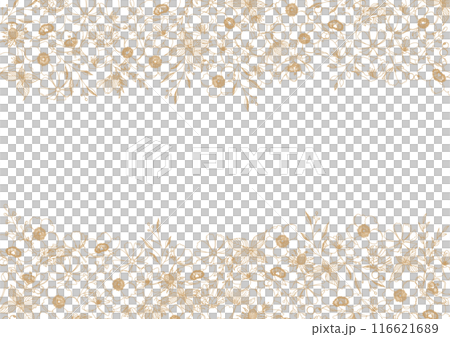 Beautiful floral line drawings, botanical frame material 116621689