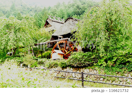 いやしの里根場 116621732