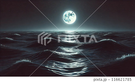 海面に反射した月明り 116621785