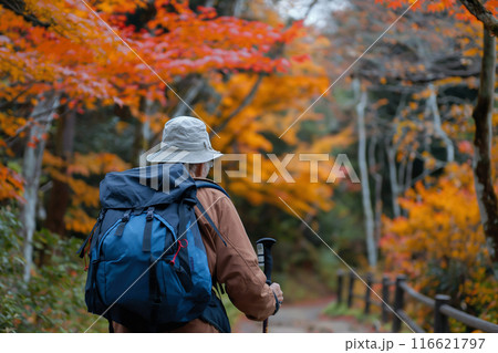 秋の紅葉を楽しむシニア 116621797