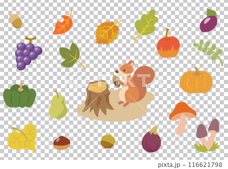 どんぐりを抱えたリスと秋の食べ物と紅葉して色づいた葉のセット 116621798