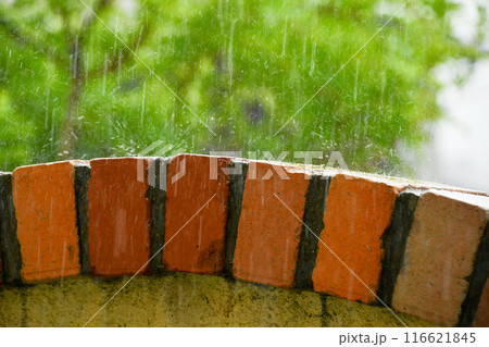 雨に打たれるレンガ 116621845