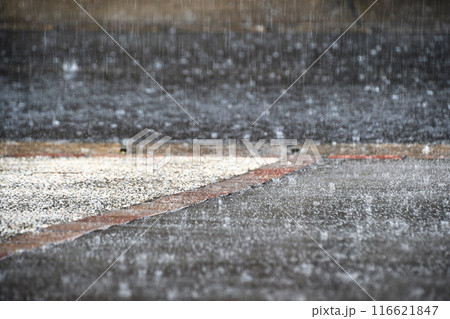 雨に濡れた道路 雨に濡れた道路 116621847