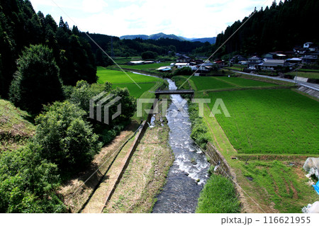 熊本県阿蘇郡小国町 旧国鉄宮原線遊歩道 沿線の風景 幸野川橋梁からの田園風景 熊本県阿蘇郡小国町 旧国鉄宮原線遊歩道 沿線の風景 幸野川橋梁からの田園風景 116621955