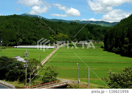 熊本県阿蘇郡小国町　旧国鉄宮原線遊歩道　沿線の風景　幸野川橋梁からの田園風景 116621956