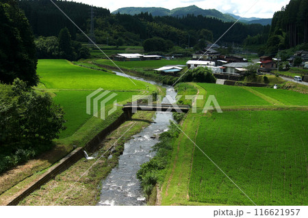 熊本県阿蘇郡小国町　旧国鉄宮原線遊歩道　沿線の風景　幸野川橋梁からの田園風景 116621957