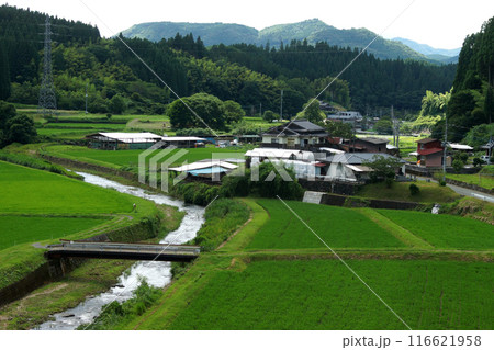 熊本県阿蘇郡小国町 旧国鉄宮原線遊歩道 沿線の風景 幸野川橋梁からの田園風景 熊本県阿蘇郡小国町 旧国鉄宮原線遊歩道 沿線の風景 幸野川橋梁からの田園風景 116621958