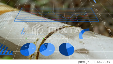 Image of financial data processing over grid Image of financial data processing over grid 116622035