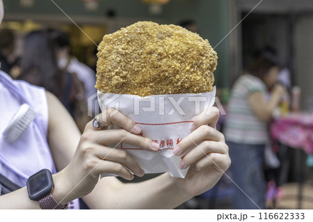 大鶏排/ダージーパイ/台湾風唐揚げ 116622333