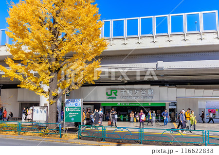 東京　渋谷区　千駄ケ谷駅前の紅葉 116622838