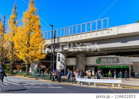 東京　渋谷区　千駄ケ谷駅前の紅葉 116622853