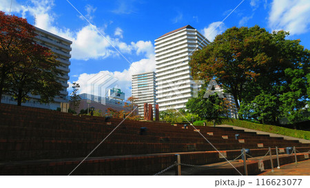 埼玉県川口市の川口西公園（リリアパーク）と西口方面のビル群の風景 116623077