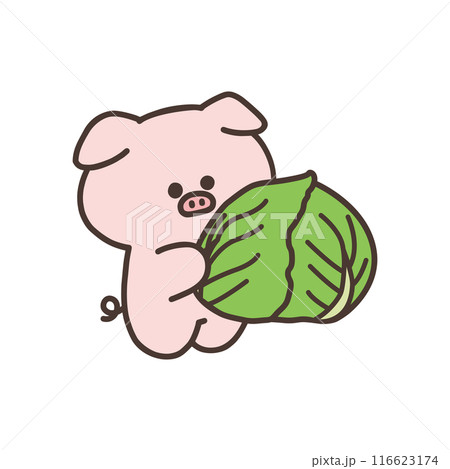 キャベツを持ったかわいいブタのイラスト 116623174