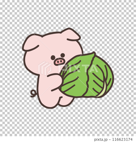 キャベツを持ったかわいいブタのイラスト 116623174