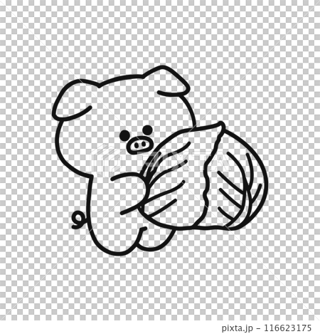 キャベツを持ったかわいいブタのイラスト・線画 116623175