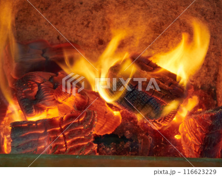 燃える炎 116623229