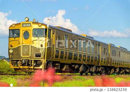 秋麗のお天気を背景にSWEET TRAIN『或る列車』と彼岸花　JR九州・久大本線（うきは市吉井町） 116623239