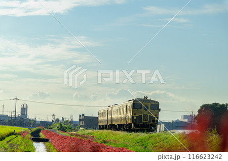 秋麗のお天気を背景にSWEET TRAIN『或る列車』と彼岸花 JR九州・久大本線(うきは市吉井町) 秋麗のお天気を背景にSWEET TRAIN『或る列車』と彼岸花 JR九州・久大本線(うきは市吉井町) 116623242