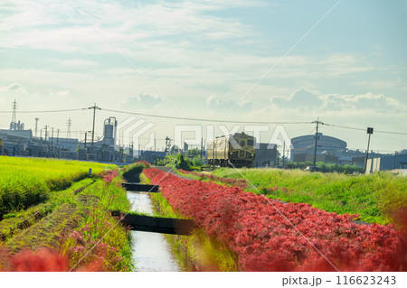 秋麗のお天気を背景にSWEET TRAIN『或る列車』と彼岸花　JR九州・久大本線（うきは市吉井町） 116623243