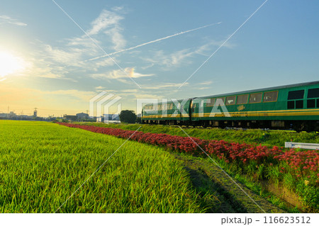 秋麗のお天気を背景に田園風景に映える彼岸花とゆふいんの森列車　JR九州・久大本線（うきは市吉井町） 116623512