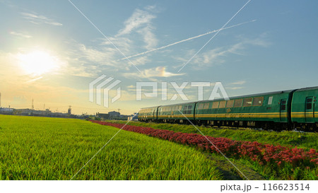 秋麗のお天気を背景に田園風景に映える彼岸花とゆふいんの森列車　JR九州・久大本線（うきは市吉井町） 116623514
