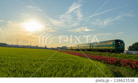 秋麗のお天気を背景に田園風景に映える彼岸花とゆふいんの森列車　JR九州・久大本線（うきは市吉井町） 116623516