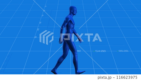 Image of digital human over data processing on blue background 116623975