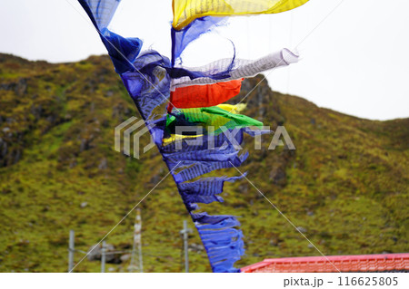 Worship flag blowing with Wind in Tsomgo or Changu Lake at Sikkim Worship flag blowing with Wind in Tsomgo or Changu Lake at Sikkim 116625805