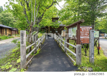 夏の蔦沼 沼めぐりの小路 入口 青森県十和田市 夏の蔦沼 沼めぐりの小路 入口 青森県十和田市 116625965