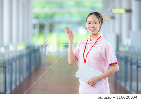 若い介護士 若い介護士 116626034