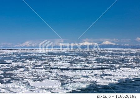 知床の山々と流氷 知床の山々と流氷 116626168