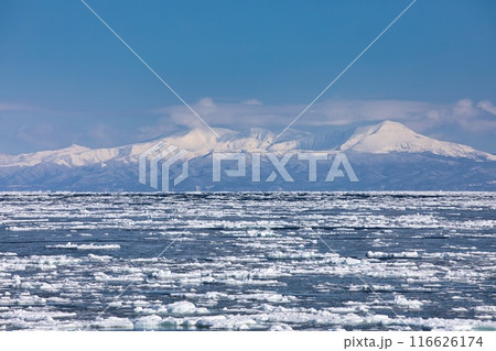 知床の山々と流氷 知床の山々と流氷 116626174