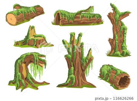 Stumps in moss. Fluffy plants on tree trunks. Wooden surfaces covered with green lichen. Creeping micro growth. Mossy branches. Overgrown wood. Splendid vector landscape elements set 116626266