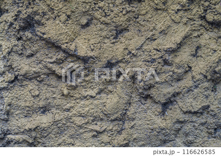 Uneven surface of wall plaster with deep hollows that are clogged with cobwebs, dust and small debris Uneven surface of wall plaster with deep hollows that are clogged with cobwebs, dust and small debris 116626585